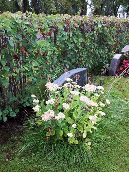 Gravnummer: NK F A   159