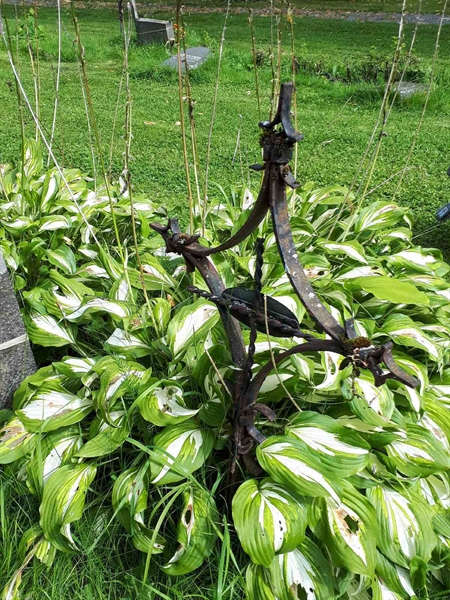 Hautatunnus: GK A 4   301V