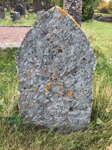 Grave number: ÅR A   293