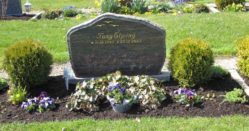 Grave number: 2 16     4