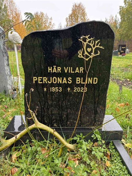 Hautatunnus: NK 21    81