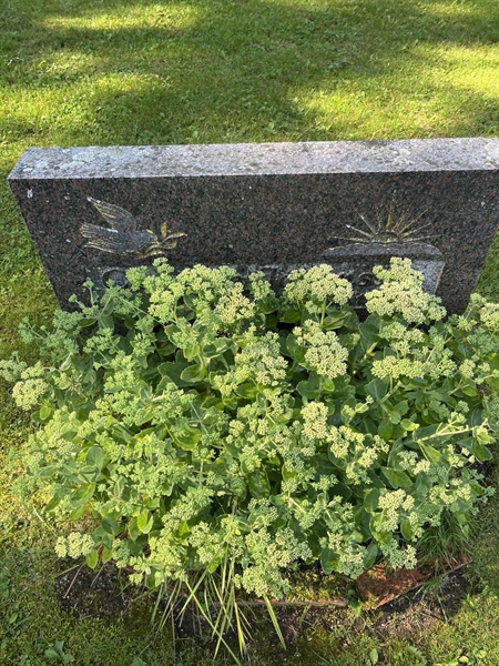 Grave number: 5 05   516
