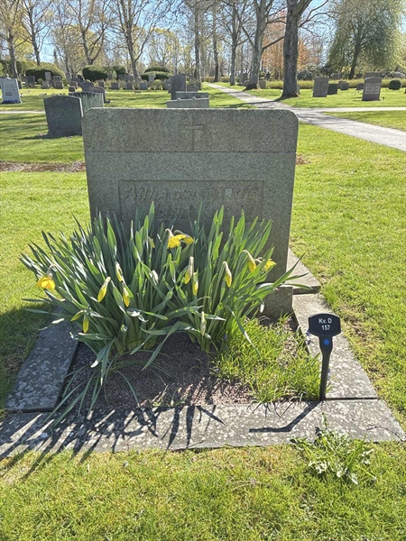 Hautatunnus: 22 D   157