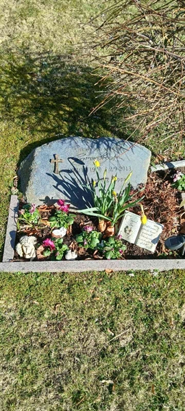 Hautatunnus: 3 Ga E    20-21