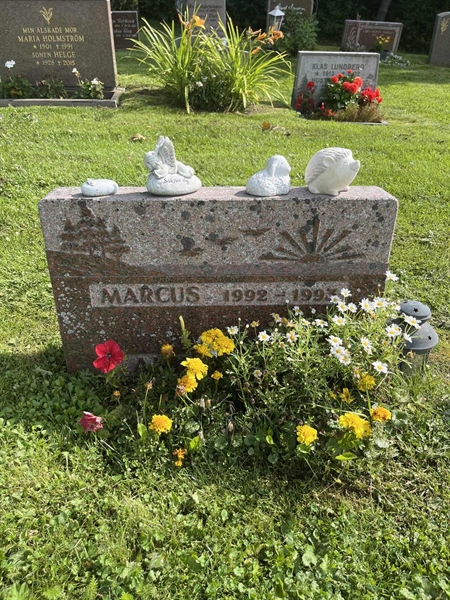 Grave number: 2 05   219