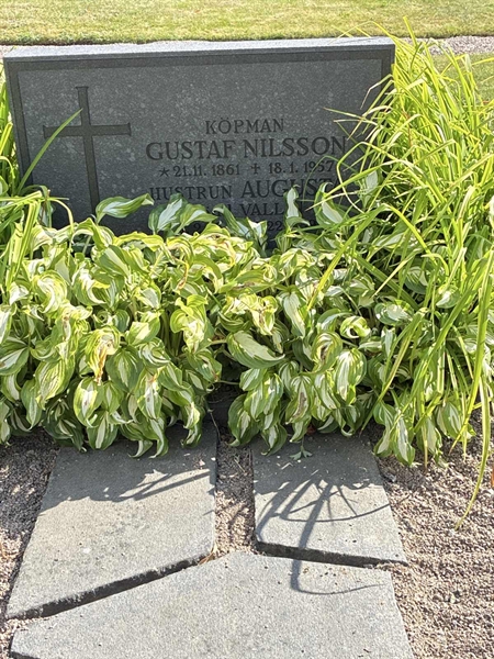 Grave number: 33 5   194