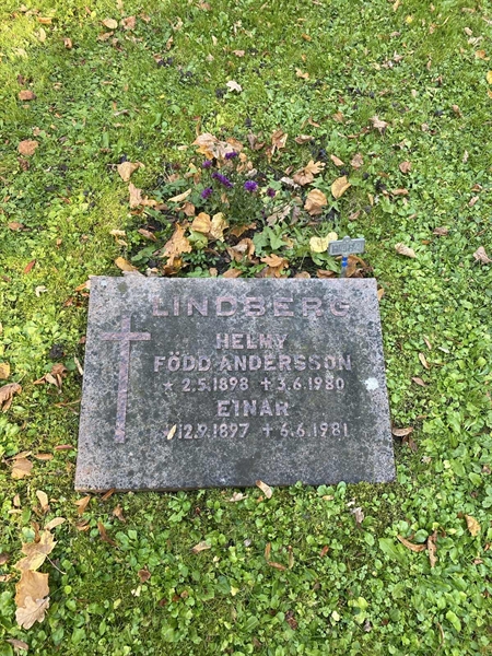 Gravnummer: 1 H   484