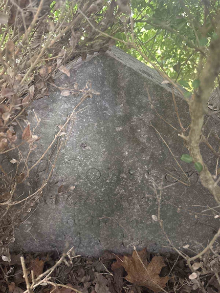 Grave number: E C 79