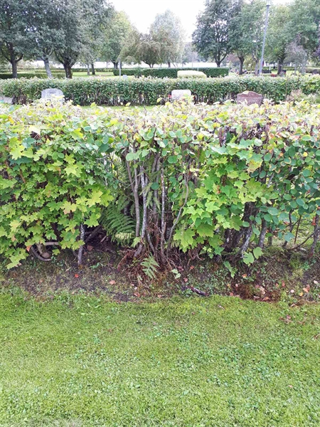 Gravnummer: NK F B   106