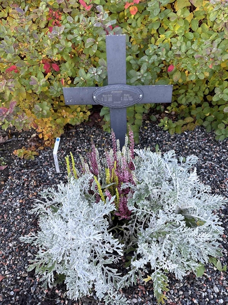 Grave number: 4 N NB   219