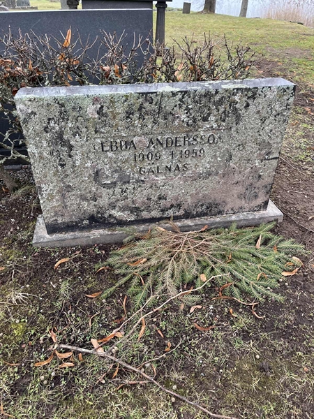 Hautatunnus: Vårv Kv3   233