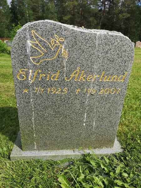 Hautatunnus: PK   763