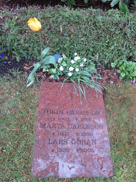 Grave number: HÖB N.UR   228