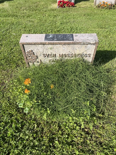 Grave number: 2 02   129