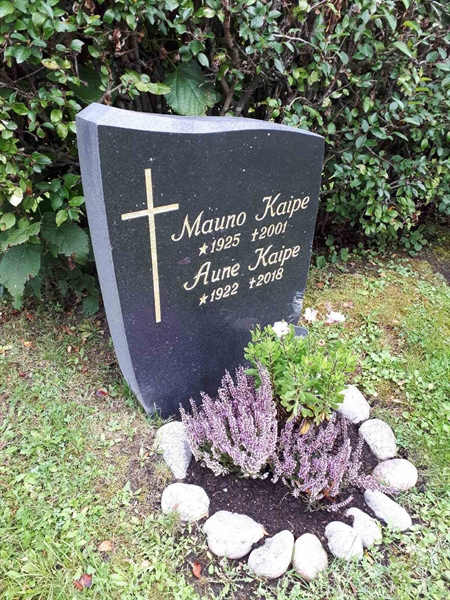 Hautatunnus: NK F D   271