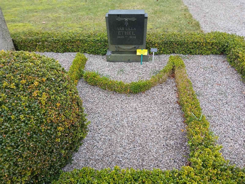 Grave number: FE B    12