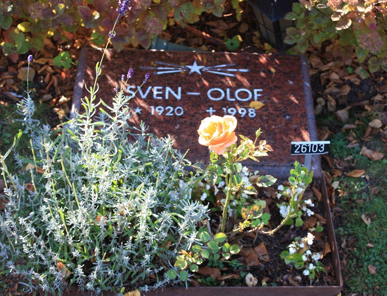 Grave number: Ö 26i   113, 114