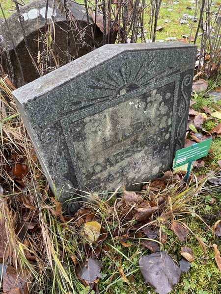 Gravnummer: GK A 3   438