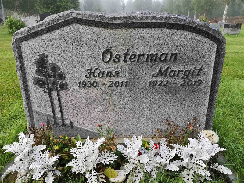 Hautatunnus: NK 20     5-6