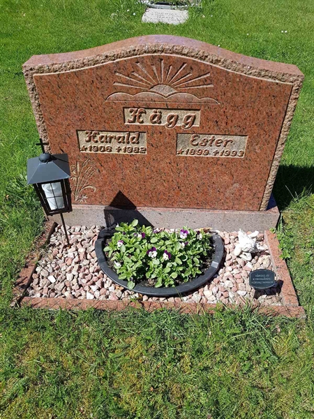 Grave number: 01  3785