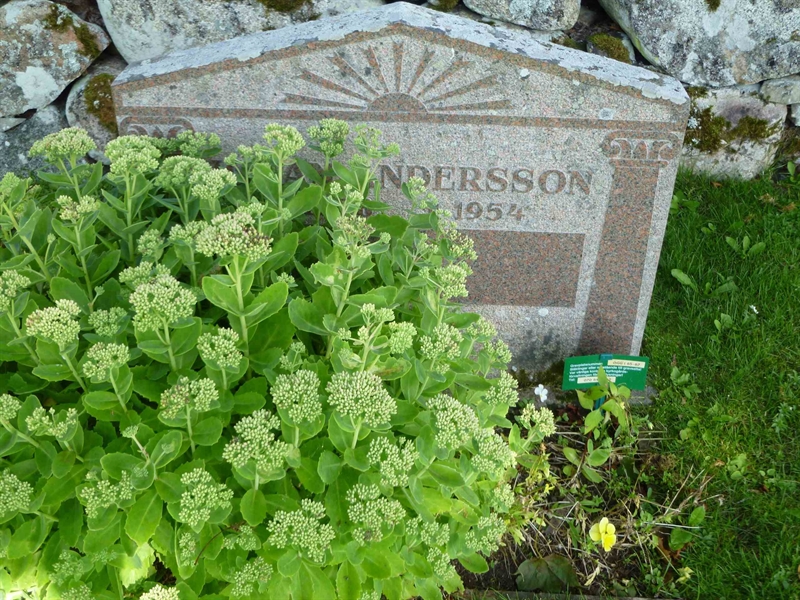 Grave number: ÖGG I   65, 66, 67