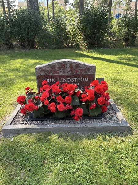 Gravnummer: 1 A1    50-51