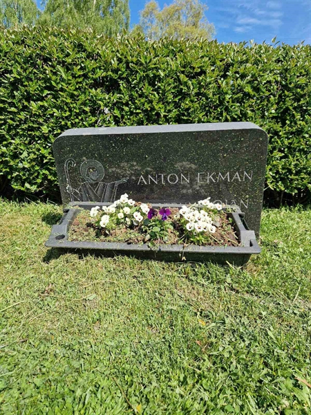 Grave number: 501 27 5447-5448