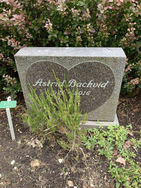 Hautatunnus: Kärn ny B   150