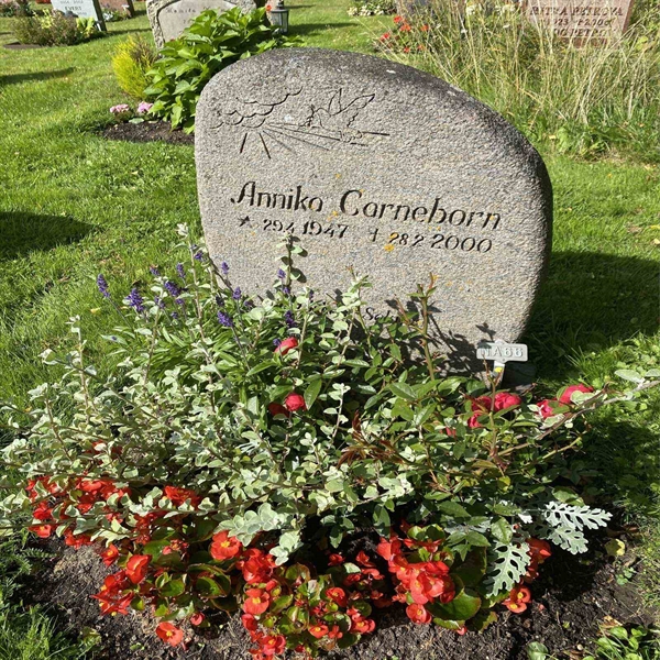 Grave number: 1 NA    66