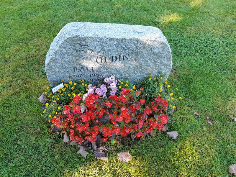 Hautatunnus: Fr 8    38-39