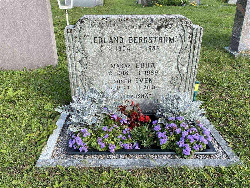 Grave number: 2 08 301