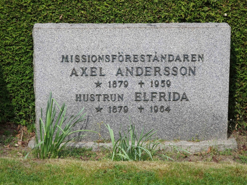 Grave number: HÖB 48    41