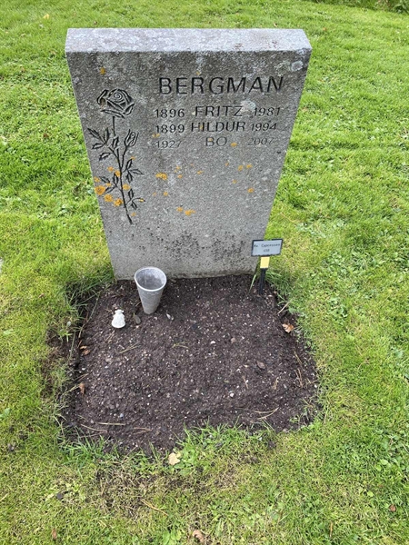 Hautatunnus: 2 C   418