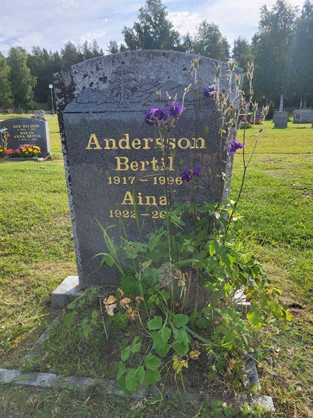 Grave number: 001 4  3177