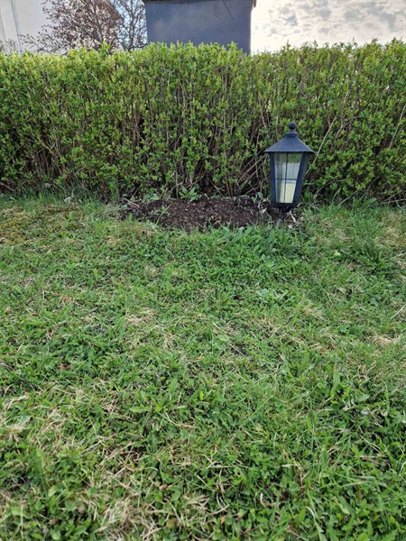 Grave number: 501 01 134-137