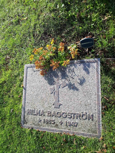 Gravnummer: NK A A   181