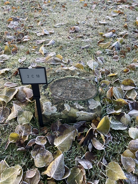 Hautatunnus: 2 C    18