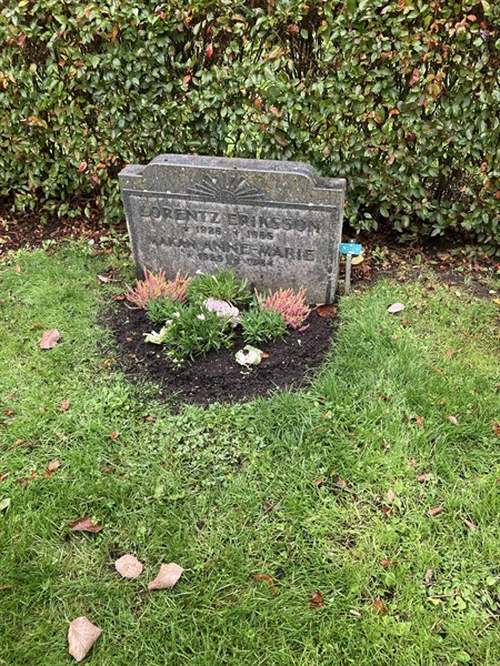 Grave number: 2 N 238