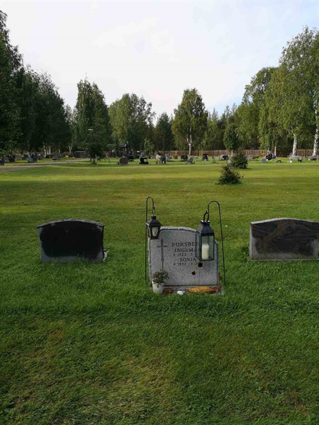 Hautatunnus: NK 20    82-83