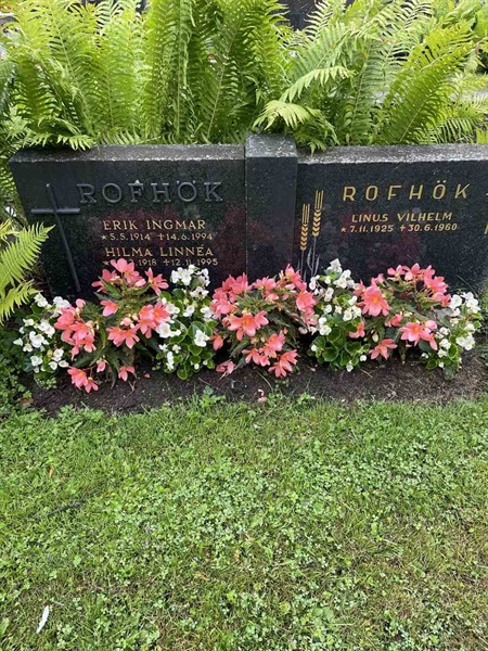 Hautatunnus: N 4 4   583b