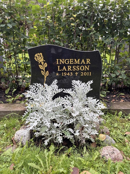 Grave number: 3  2425