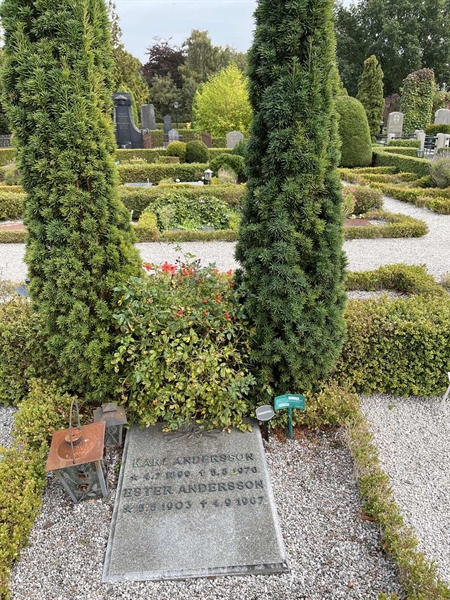 Grave number: VK I:u    38