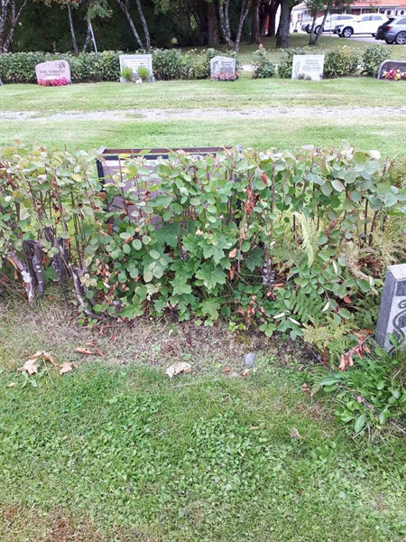 Hautatunnus: NK F B    16