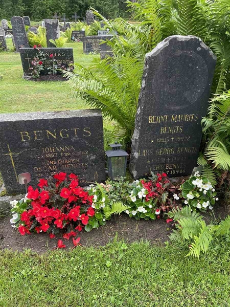 Gravnummer: N 4 4   491