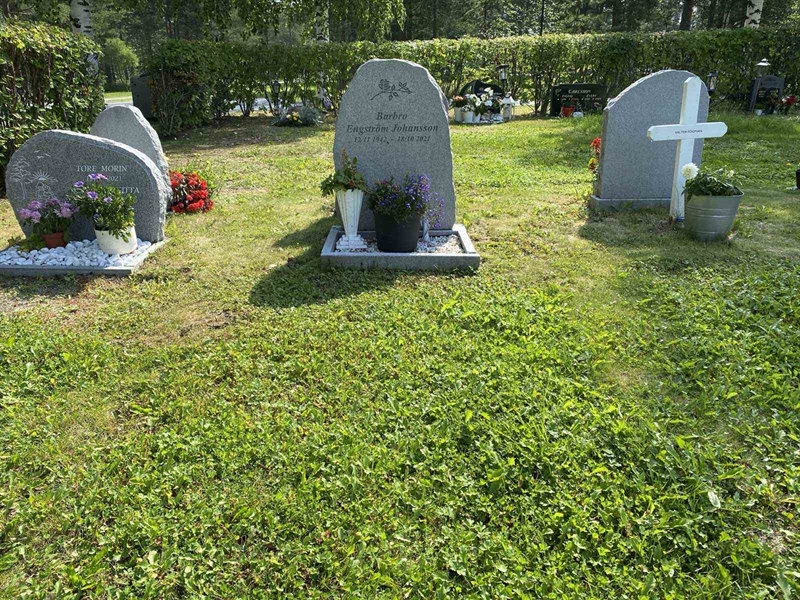 Grave number: 3 19 302