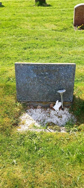 Grave number: 3 Nya L    21