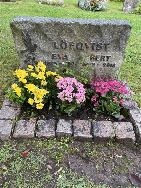 Grave number: 5 03   334