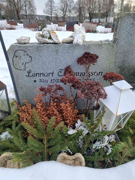Hautatunnus: Ärt 96 35 139