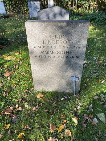 Gravnummer: 1 H   445