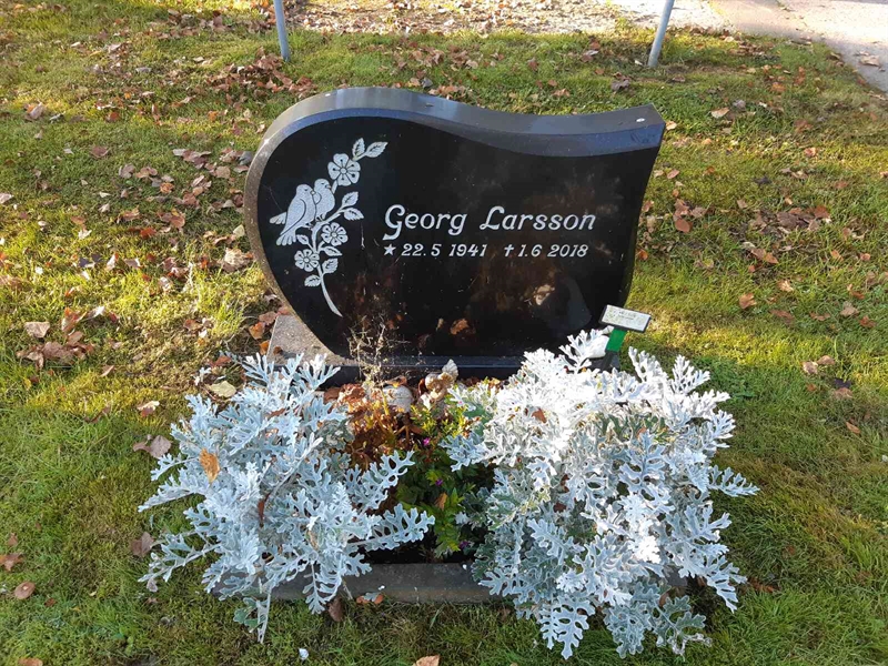 Grave number: Fr 7  1029